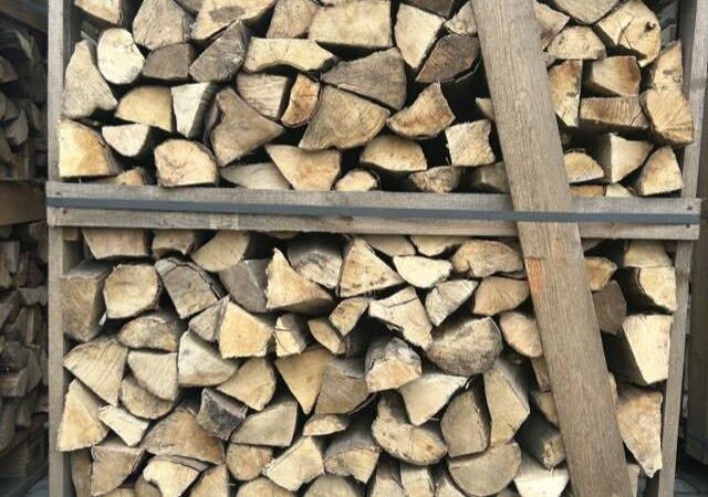 kuub-kist-haagbeuk (2)